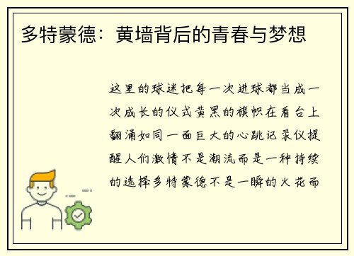 多特蒙德：黄墙背后的青春与梦想