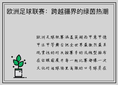 欧洲足球联赛：跨越疆界的绿茵热潮